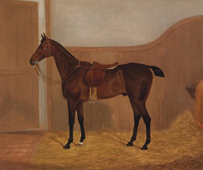 Horse Portrait (Fireland or Cocktail, One of Two Paintings Offered in a Lot with These Titles) by F. Clifton
